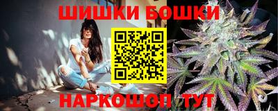 стафф Кандалакша