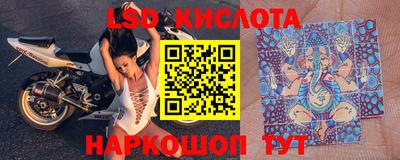стафф Кандалакша