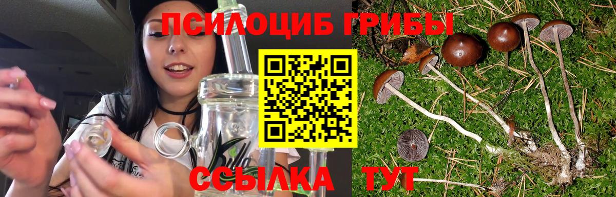 Псилоцибиновые грибы Psilocybine cubensis Выкса
