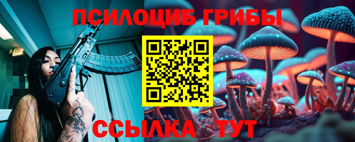 Псилоцибиновые грибы Psilocybe  Вход с VPN  Галлюциногенные грибы Magic Shrooms  Выкса 
